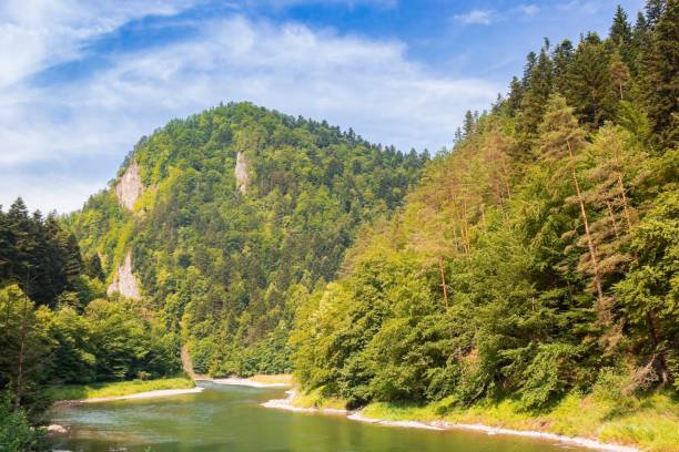 istock Dunajec river flowing through the Carpathian mountains in Szczawnica 1463448913