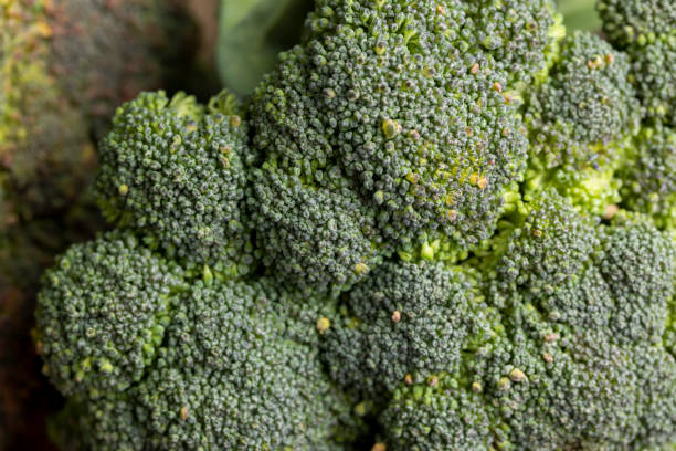 istock Green ripe broccoli in raw form 1463452298