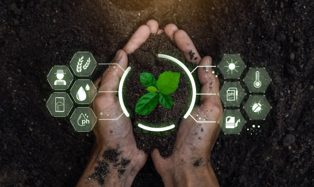 smart farming holding giovane pianta. smart farming e agricoltura di precisione 4.0, concetto di agricoltura. - biotechnology research agriculture science foto e immagini stock