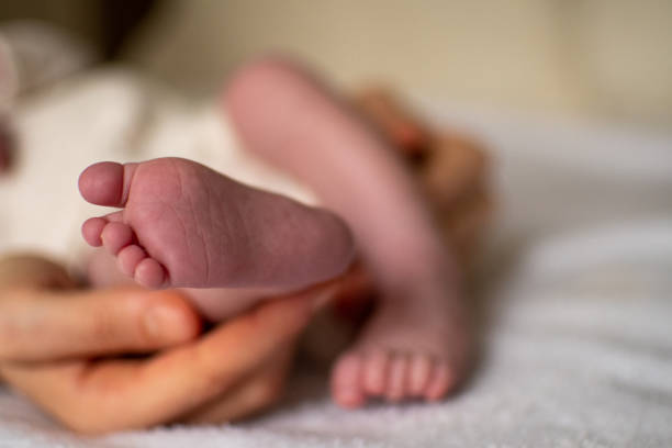 istock Woman hand holding baby feet 1463452342