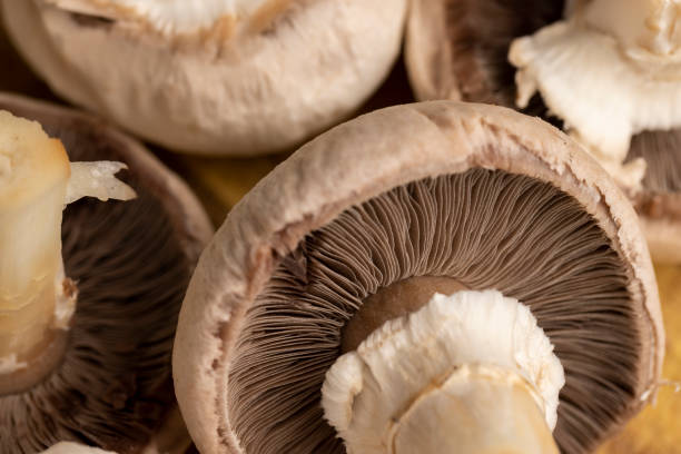 istock Peeled and washed mushrooms champignons during cooking 1463452586