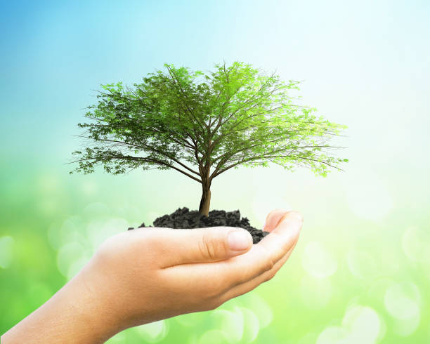 istock ESG concept: Human hands holding big tree over blurred nature background 1463455009