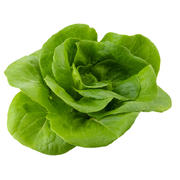 istock Head of butterhead lettuce isolated on a transparent background 1463458570