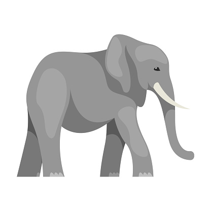 Isolated flat elephant. Vector illustration of safari animal. Africa and india symbol. Mascot with trunk and largest land mammal. African and asian zoo sign. Wildlife and wild nature theme.