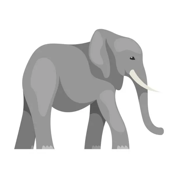 Vector illustration of Isolated flat elephant. Vector illustration.