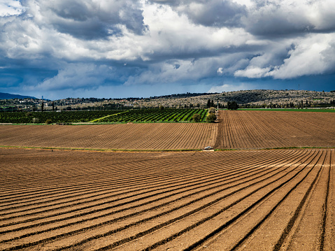 Farming Fields in North Israel