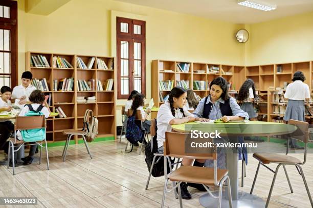 Elementary School Group At Library Stock Photo - Download Image Now - Elementary Student, Multiracial Group, Reading