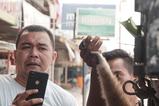 Residents hold a gibbon lar sitting in a cage after being rescued from illegal owners by the Aceh Natural Resources Conservation Agency (BKSDA) on August 8, 2019.