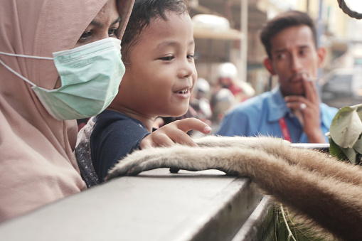 a child holds a lar gibbon sitting in a cage after being rescued from illegal owners by the Aceh Natural Resources Conservation Agency (BKSDA) on August 8, 2019.