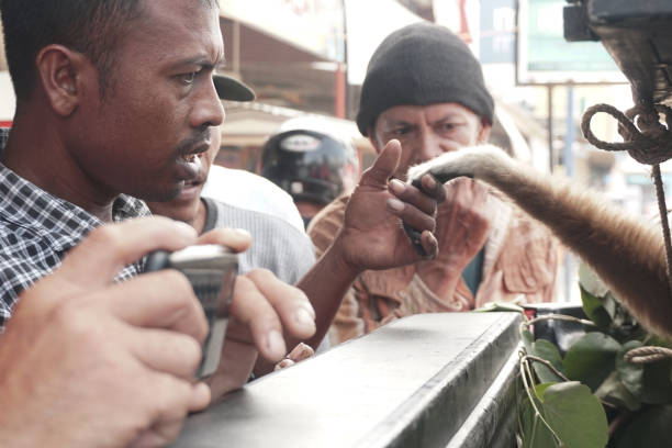 Residents hold a gibbon lar sitting in a cage after being rescued from illegal owners by the Aceh Natural Resources Conservation Agency (BKSDA) on August 8, 2019.