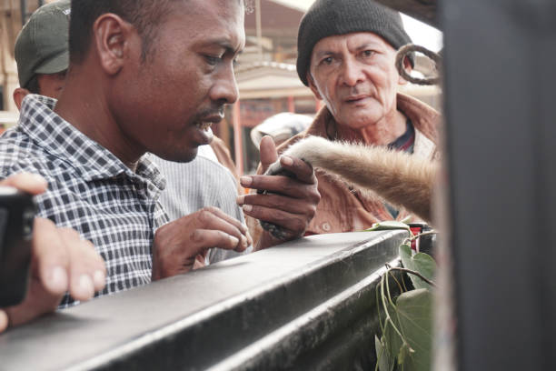 people holding lar gibbon's hand in a cage - enfeksiyon hastalıkları lar stok fotoğraflar ve resimler