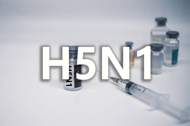 close up do vírus influenza a subtipo h5n1 palavra doença e estetoscópio, conceito de saúde médica - pig swine flu flu virus cold and flu - fotografias e filmes do acervo