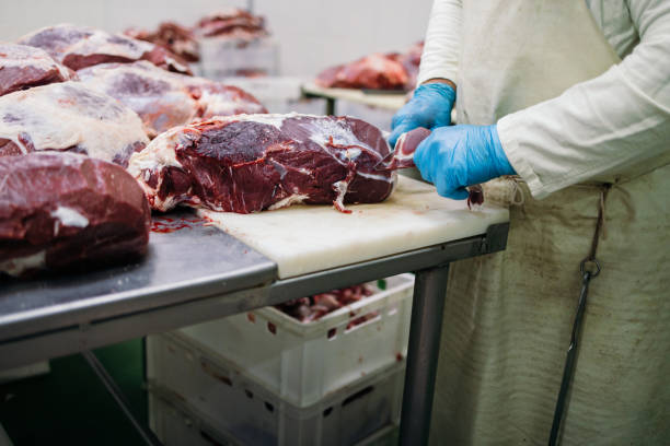 istock Meat industry slaughterhouse and food processing 1463468432