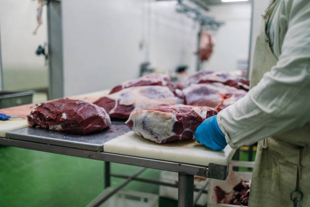 istock Meat industry slaughterhouse and food processing 1463468435