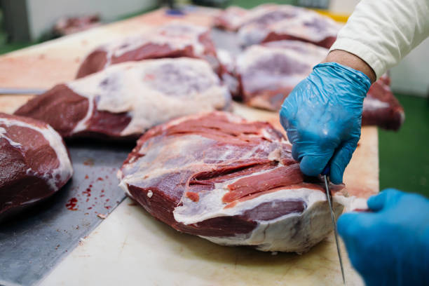 schlachthof und lebensmittelverarbeitung in der fleischindustrie - slaughterhouse stock-fotos und bilder