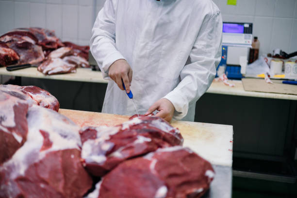 istock Meat industry slaughterhouse and food processing 1463468985