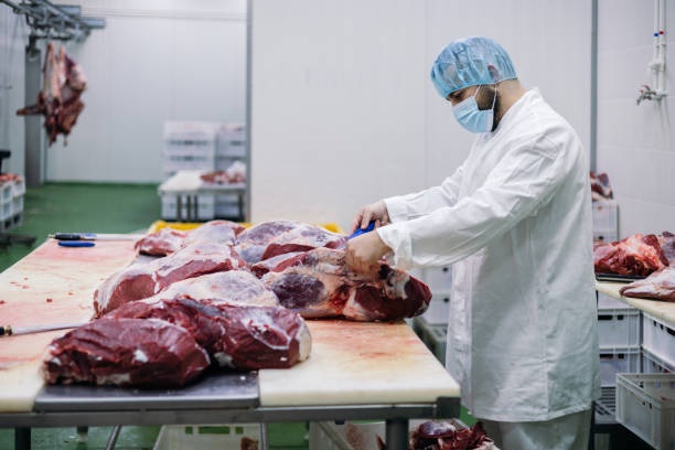 istock Meat industry slaughterhouse and food processing 1463469009