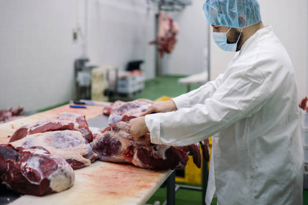 istock Meat industry slaughterhouse and food processing 1463469026