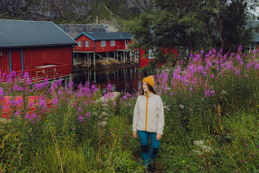 A woman with long hair in a yellow hat walking at the pink flowers field with a view of the authentic fisherman's red houses in an old village on Lofoten, Norway