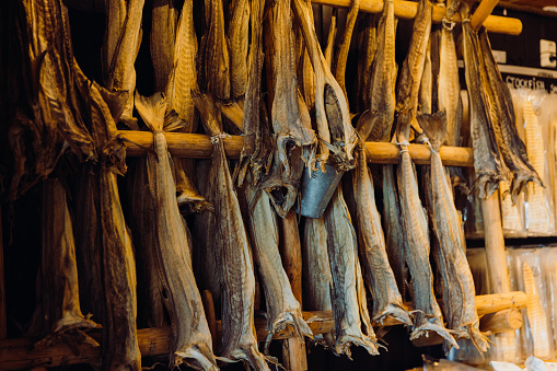 Pollack being dried in the winter wind. Gangwon-do Hwangtaedeokjang - Dried pollack, Alaska pollock, walleye pollock, Theragra chalcogramma, Gadus chalcogrammus