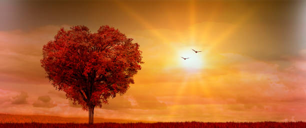 istock Red tree in the shape of a heart on a red meadow 1463472797