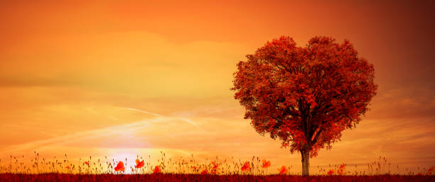 istock Red tree in the shape of a heart on a red meadow 1463472812