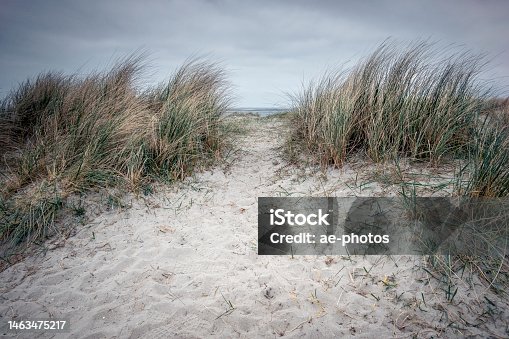 istock Footpath to the beach between sand dunes 1463475217