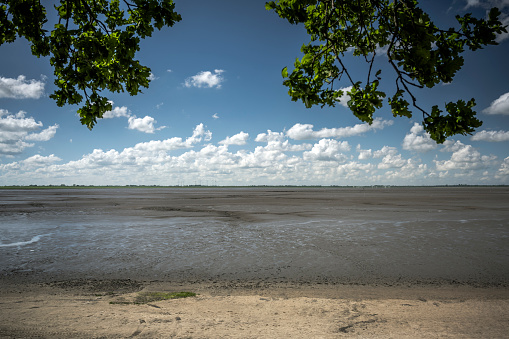 View of the Wadden Sea at low tide on a sunny day in summer with blue sky and clouds. Dangast, Friesland, Lower Saxony, Germany