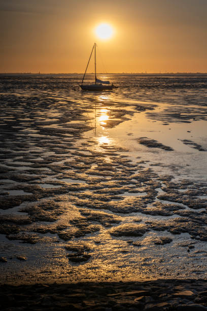 Sunset at low tide in the Wadden Sea with a sailboat in silhouette. Butjadingen, Friesland, Lower Saxony, Germany