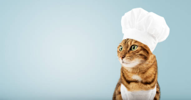 istock A cute red cat and a white chefs hat. Isolated on a colored background. Studio photo. 1463476826