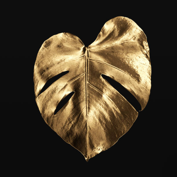 istock Gold tropical palm leaves Monstera on black, 3d rendering 1463477430