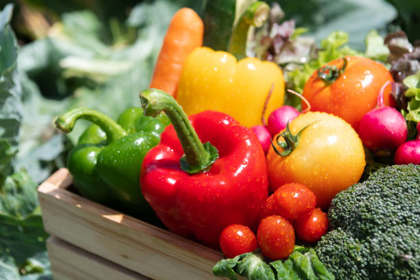 istock Wooden crate filled with fresh organic vegetables 1463477435