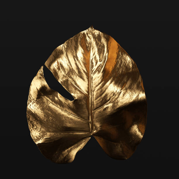 istock Monstera plant tropical leaf gold texture, 3d rendering 1463481011