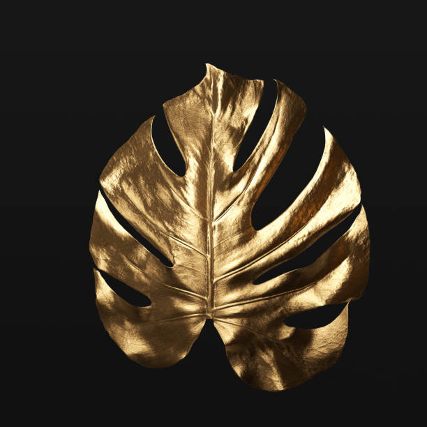 istock Monstera plant tropical leaf gold texture, 3d rendering 1463481272