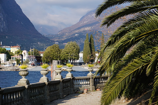 Famous stone tubs for plants. Large stone vases for long grass in the city of Riva del Garda. Tubs for plants in the city of Riva del Garda.