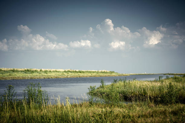Tidal pool in the Langwarder Groden on a sunny summer day. Wattenmeer National Park, Butjadingen, Lower Saxony, Germany