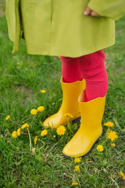 The child's feet are in rubber yellow rain boots and bright pink tights. Blooming dandelions in a spring meadow