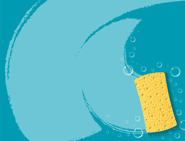 ilustrações de stock, clip art, desenhos animados e ícones de sponge hygiene and cleanliness with a surface clean and soap bubbles - empregrada-de-limpeza