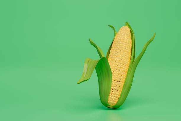 istock a large head of corn with leaves on a green background. copy paste, copy space. 3D render 1463487765
