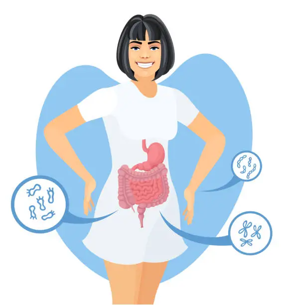 Vector illustration of Happy woman with balanced gut flora