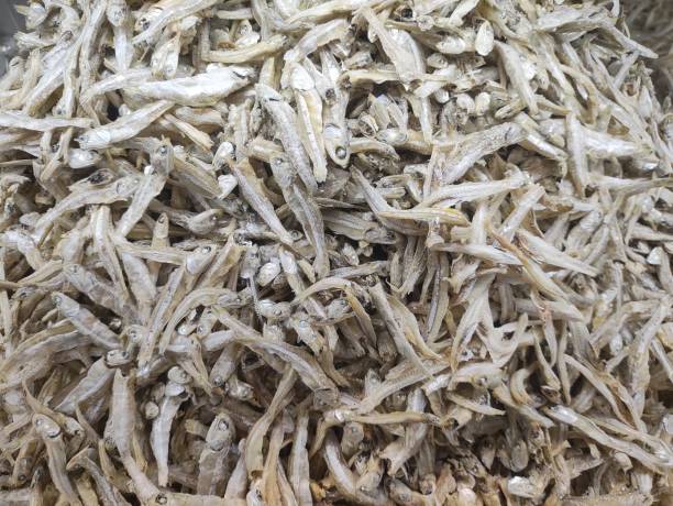 istock Selective focus image of anchovies 1463488200