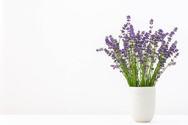 istock Lavender flowers in a vase 1463489813