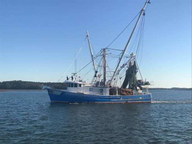 istock Shrimp Boat Hilton Head Island 1463490283