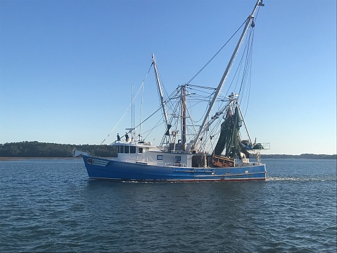 Shrimp Boat Hilton Head Island