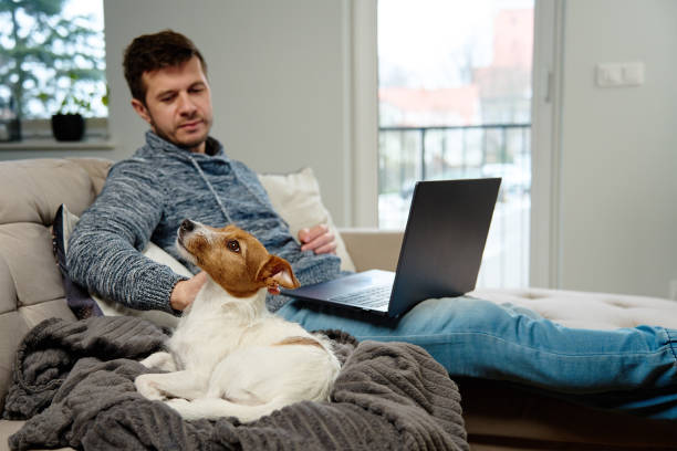 istock Man using laptop at living room 1463494467