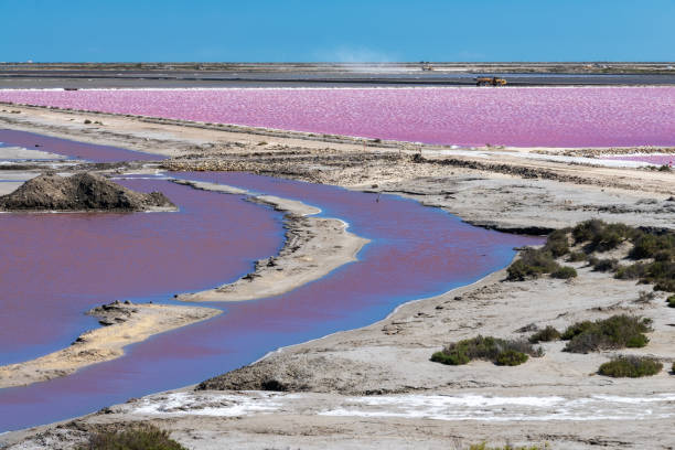 Abstract landscape of pink salt pans at Salin de Giraud saltworks in the Camarhue in Provence, South of France stock photo