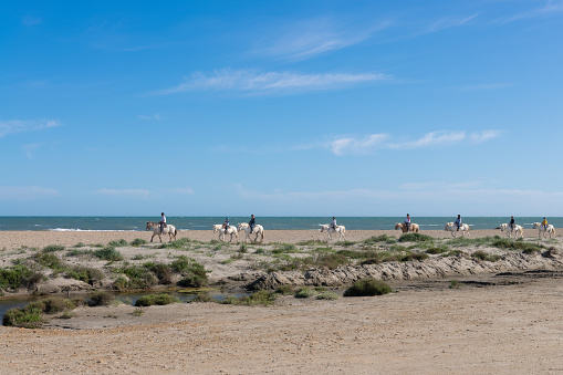 Tourists riding horses on the beach in the Camargue, Bouches du Rhone, South of France