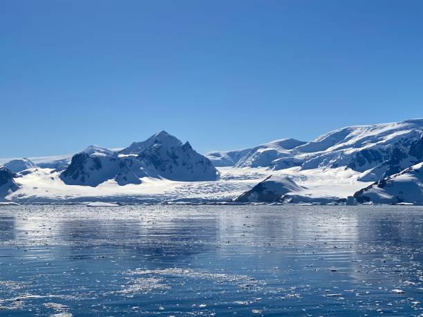istock Calm Waters in an Antarctic Icefield 1463500819