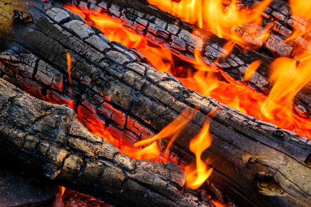 istock Burning wooden firewood close up. 1463501616