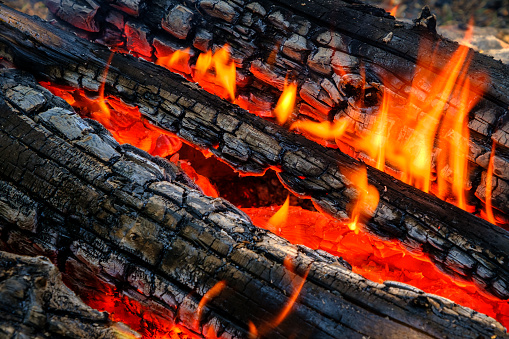 Fragment of a burning fire from wooden coniferous firewood.